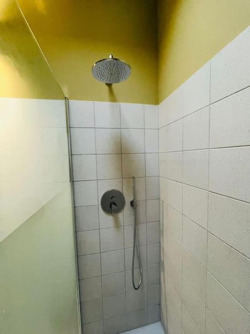 Vera Felicita - Loft Brione Apartment Turin Ngoại thất bức ảnh